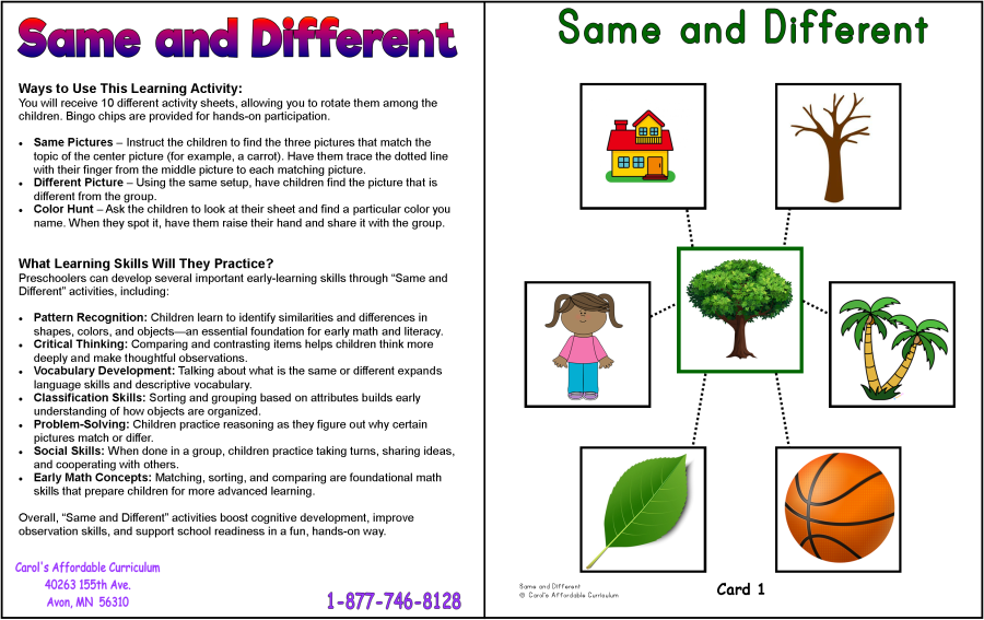 Same and Different Learning Activity