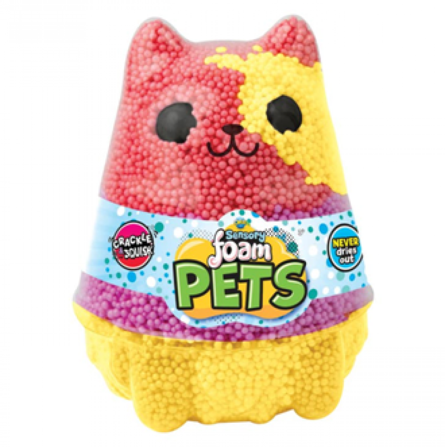 Sensory Foam Pets Cat